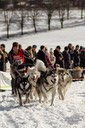 Schlittenhunderennen