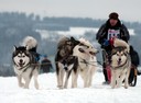 Schlittenhunderennen