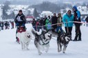 Schlittenhunderennen