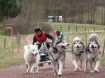 Schlittenhunderennen